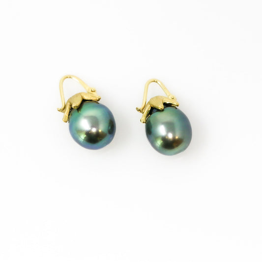 18K Yellow Gold Tahitian Pearl Starfish Earrings